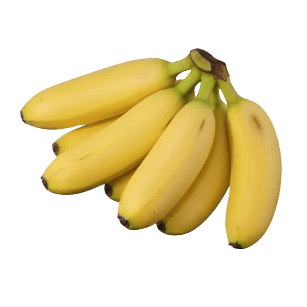 Banana Sobri Banana Sobri