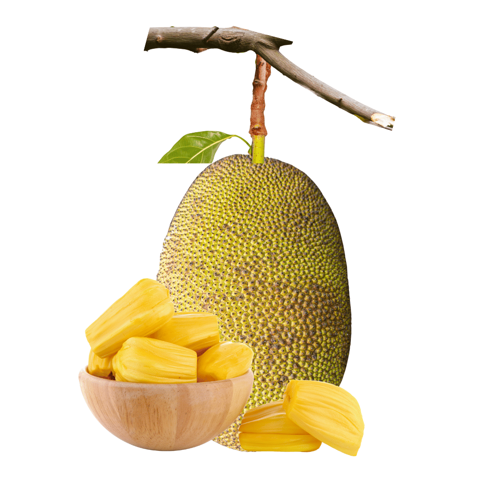 jackfruit jackfruit
