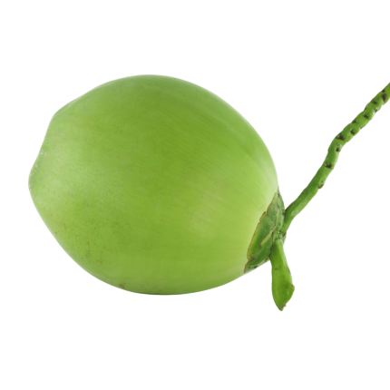 Daab (Green Coconut)