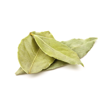 Bay Leaf (Tejpata)