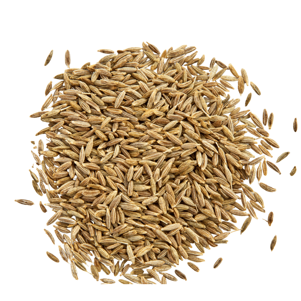 Cumin (Jira) Cumin (Jira) 100 gm