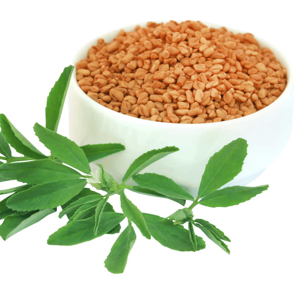 Fenugreek Fenugreek (Methi) Seed 100 gm