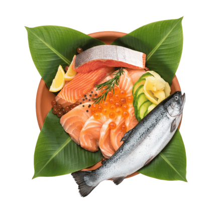 Salmon Fish (Ready to cook)
