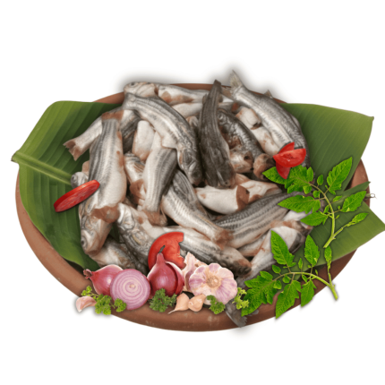 Tengra Fish (Ready to cook)