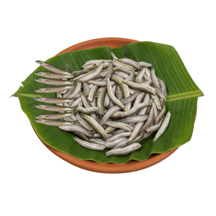 Gutum Fish (Ready to cook)